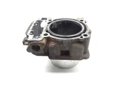 Engine Cylinder Jug Front 2014 Can-Am Maverick 1000R 4x4 XXC DPS 3268