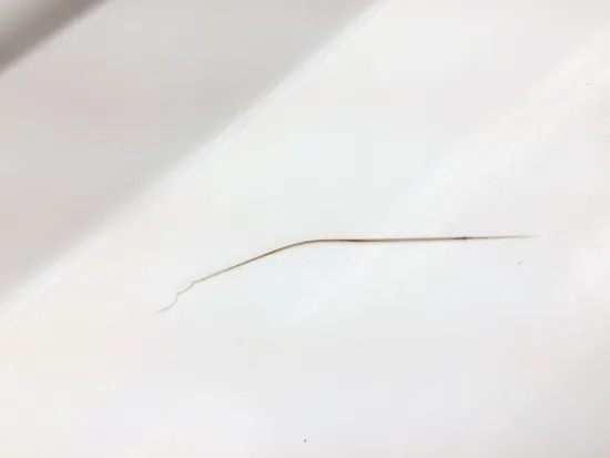 Right Passenger Front Fender 2014 Can-Am Maverick 1000R 4x4 XXC DPS 3268