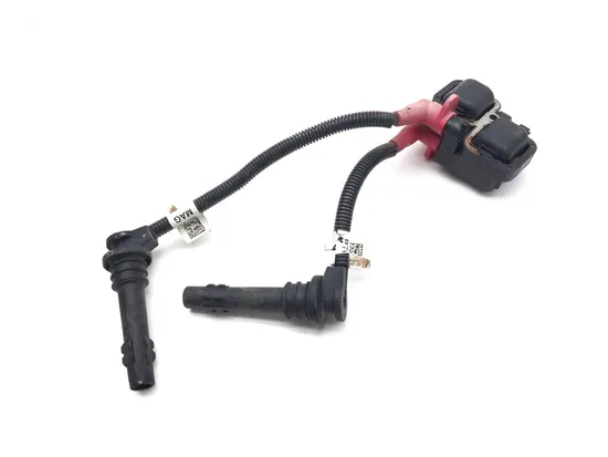 Ignition Coil 2019 Polaris RZR 900 3264