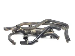 Engine Radiator Cooling Hoses 2019 Polaris RZR 900 3264