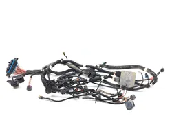 Main Engine Wiring Harness 2019 Polaris RZR 900 3264