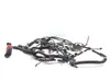 Main Engine Wiring Harness 2019 Polaris RZR 900 3264