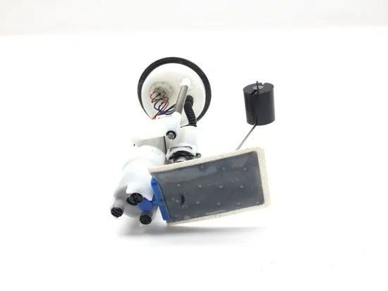 Gas Fuel Tank Pump 2019 Polaris RZR 900 3264