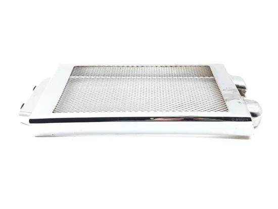 Engine Radiator Grill Guard 2007 Suzuki Boulevard C50B 3262 x