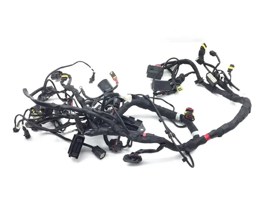 Main Engine Wiring Harness 2013 Ducati Diavel Carbon 3269