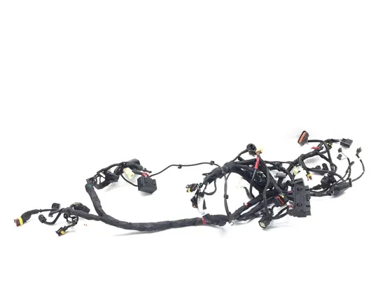 Main Engine Wiring Harness 2013 Ducati Diavel Carbon 3269