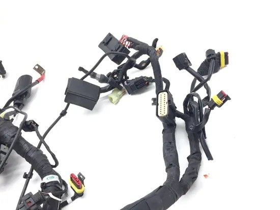 Main Engine Wiring Harness 2013 Ducati Diavel Carbon 3269