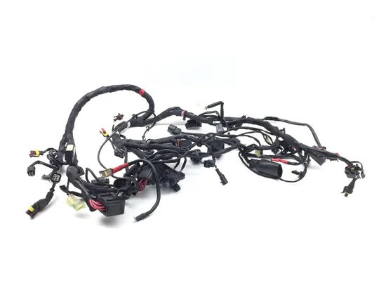 Main Engine Wiring Harness 2013 Ducati Diavel Carbon 3269