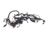 Main Engine Wiring Harness 2013 Ducati Diavel Carbon 3269