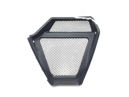 Front Lower Center Grill Guard 2013 Ducati Diavel Carbon 3269 x