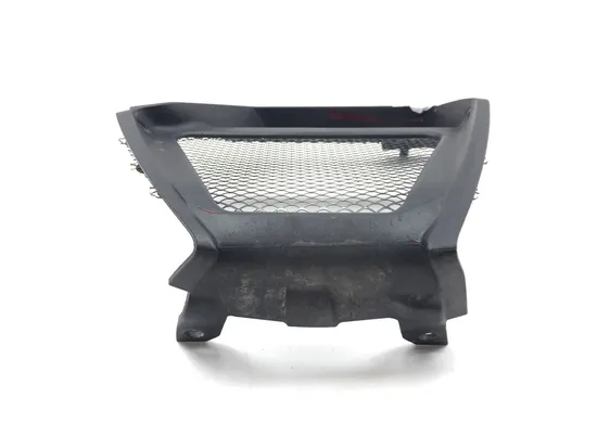 Front Lower Center Grill Guard 2013 Ducati Diavel Carbon 3269 x