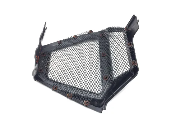 Front Lower Center Grill Guard 2013 Ducati Diavel Carbon 3269 x