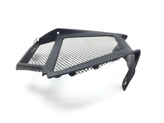 Front Lower Center Grill Guard 2013 Ducati Diavel Carbon 3269 x