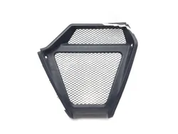 Front Lower Center Grill Guard 2013 Ducati Diavel Carbon 3269 x