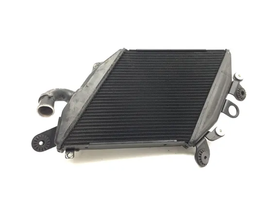 Engine Radiator Cooling 2013 Ducati Diavel Carbon 3269 x