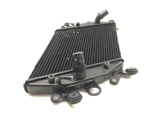 Engine Radiator Cooling 2013 Ducati Diavel Carbon 3269 x
