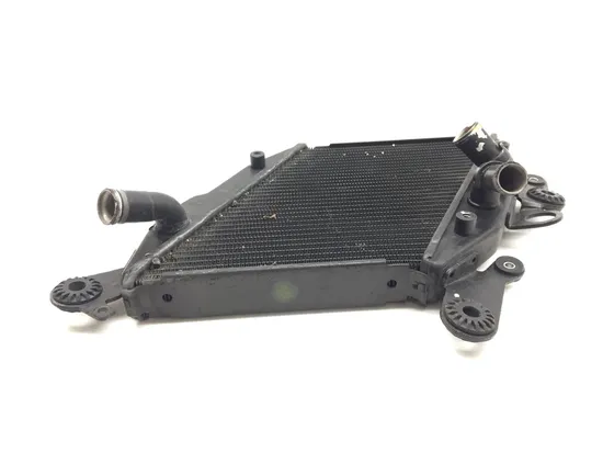 Engine Radiator Cooling 2013 Ducati Diavel Carbon 3269 x