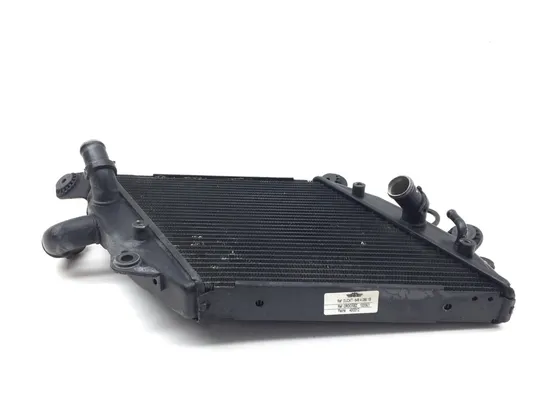 Engine Radiator Cooling 2013 Ducati Diavel Carbon 3269 x