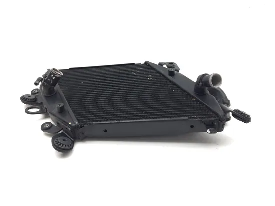 Engine Radiator Cooling 2013 Ducati Diavel Carbon 3269 x