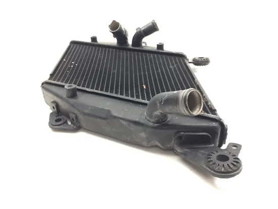 Engine Radiator Cooling 2013 Ducati Diavel Carbon 3269 x