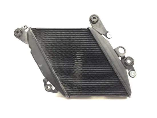 Engine Radiator Cooling 2013 Ducati Diavel Carbon 3269 x