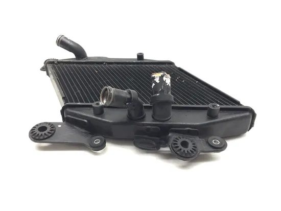 Engine Radiator Cooling 2013 Ducati Diavel Carbon 3269 x