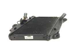 Engine Radiator Cooling 2013 Ducati Diavel Carbon 3269 x