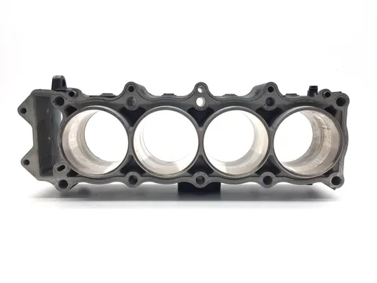 Engine Cylinder Jug W Piston 2002 Kawasaki Ninja ZX12R ZX1200B 3265 x