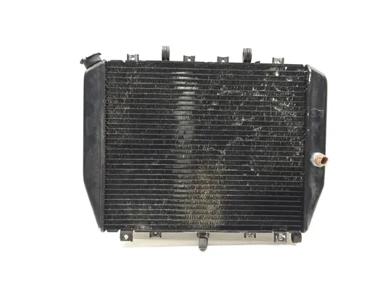 Engine Radiator Cooling 2002 Kawasaki Ninja ZX12R ZX1200B 3265 x