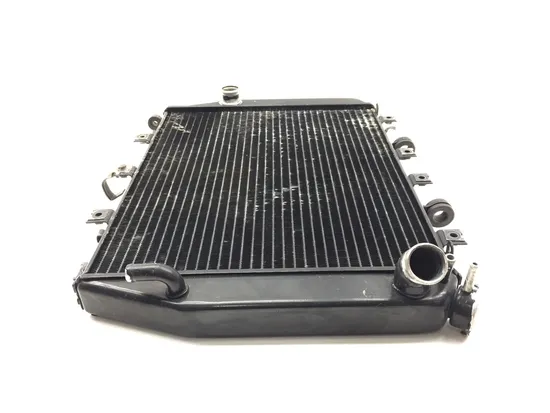 Engine Radiator Cooling 2002 Kawasaki Ninja ZX12R ZX1200B 3265 x