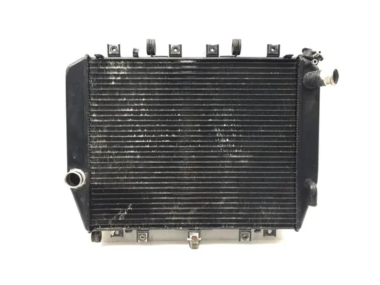 Engine Radiator Cooling 2002 Kawasaki Ninja ZX12R ZX1200B 3265 x