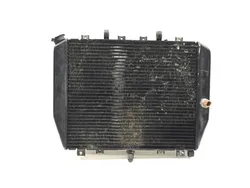 Engine Radiator Cooling 2002 Kawasaki Ninja ZX12R ZX1200B 3265 x