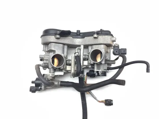 Engine Intake Throttle Body 2019 Kawasaki Teryx4 800 KRT800 LE 3266