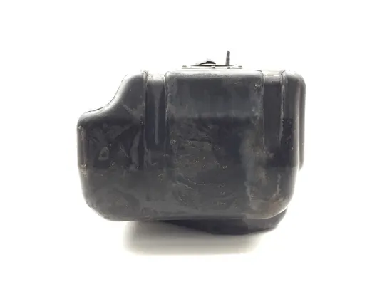 Gas Fuel Tank 2019 Kawasaki Teryx4 800 KRT800 LE 3266