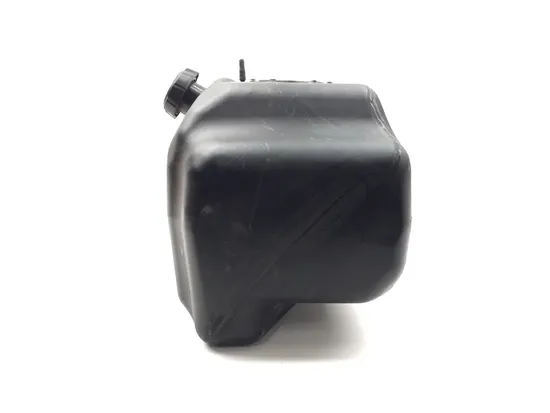 Gas Fuel Tank 2019 Kawasaki Teryx4 800 KRT800 LE 3266