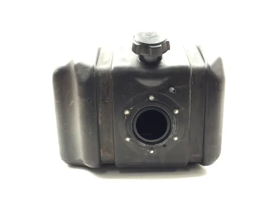 Gas Fuel Tank 2019 Kawasaki Teryx4 800 KRT800 LE 3266