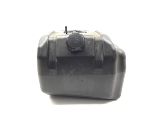 Gas Fuel Tank 2019 Kawasaki Teryx4 800 KRT800 LE 3266