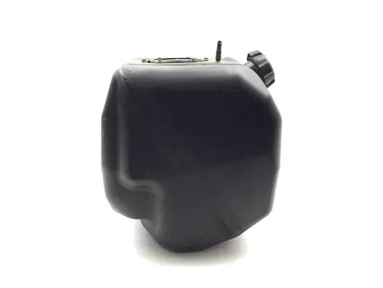 Gas Fuel Tank 2019 Kawasaki Teryx4 800 KRT800 LE 3266
