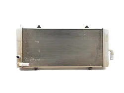 Auxillary Radiator 2017 Polaris RZR XP Turbo EPS 3273 x