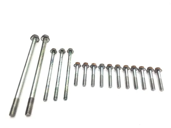 Engine Center Cases Case Bolts 2010 Honda Big Red 700 MUV700 3274