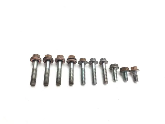 Engine Center Cases Case Bolts 2010 Honda Big Red 700 MUV700 3274