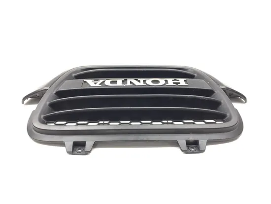 Engine Radiator Grill Guard 2010 Honda Big Red 700 MUV700 3274