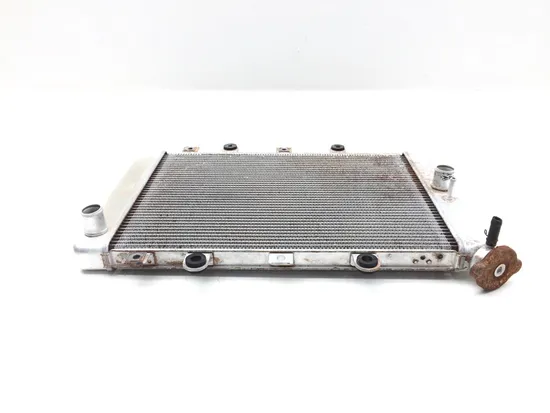 Engine Radiator Cooling 2008 Yamaha Grizzly 700 YFM700FG 4x4 FI 3275 x