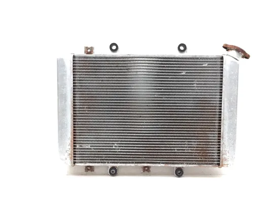 Engine Radiator Cooling 2008 Yamaha Grizzly 700 YFM700FG 4x4 FI 3275 x