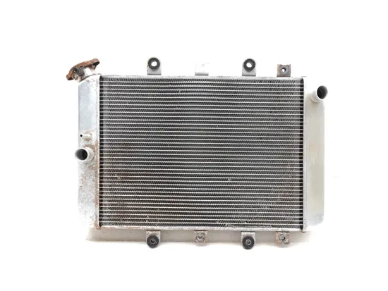 Engine Radiator Cooling 2008 Yamaha Grizzly 700 YFM700FG 4x4 FI 3275 x
