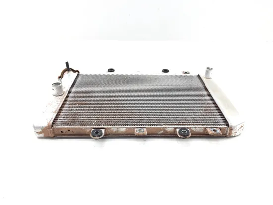 Engine Radiator Cooling 2008 Yamaha Grizzly 700 YFM700FG 4x4 FI 3275 x