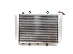 Engine Radiator Cooling 2008 Yamaha Grizzly 700 YFM700FG 4x4 FI 3275 x