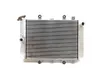 Engine Radiator Cooling 2008 Yamaha Grizzly 700 YFM700FG 4x4 FI 3275 x