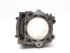 Engine Cylinder Jug W Piston 2008 Yamaha Grizzly 700 YFM700FG 4x4 FI 3275
