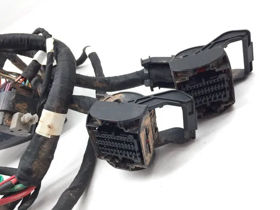 Main Engine Wiring Harness 2017 Polaris ACE 150 EFI 3278